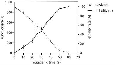 Mutagenesis selection and large-scale cultivation of non-green Chlamydomonas reinhardtii for food applications